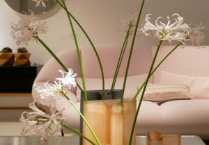 Lire la suite à propos de l’article The history of finest house decoration